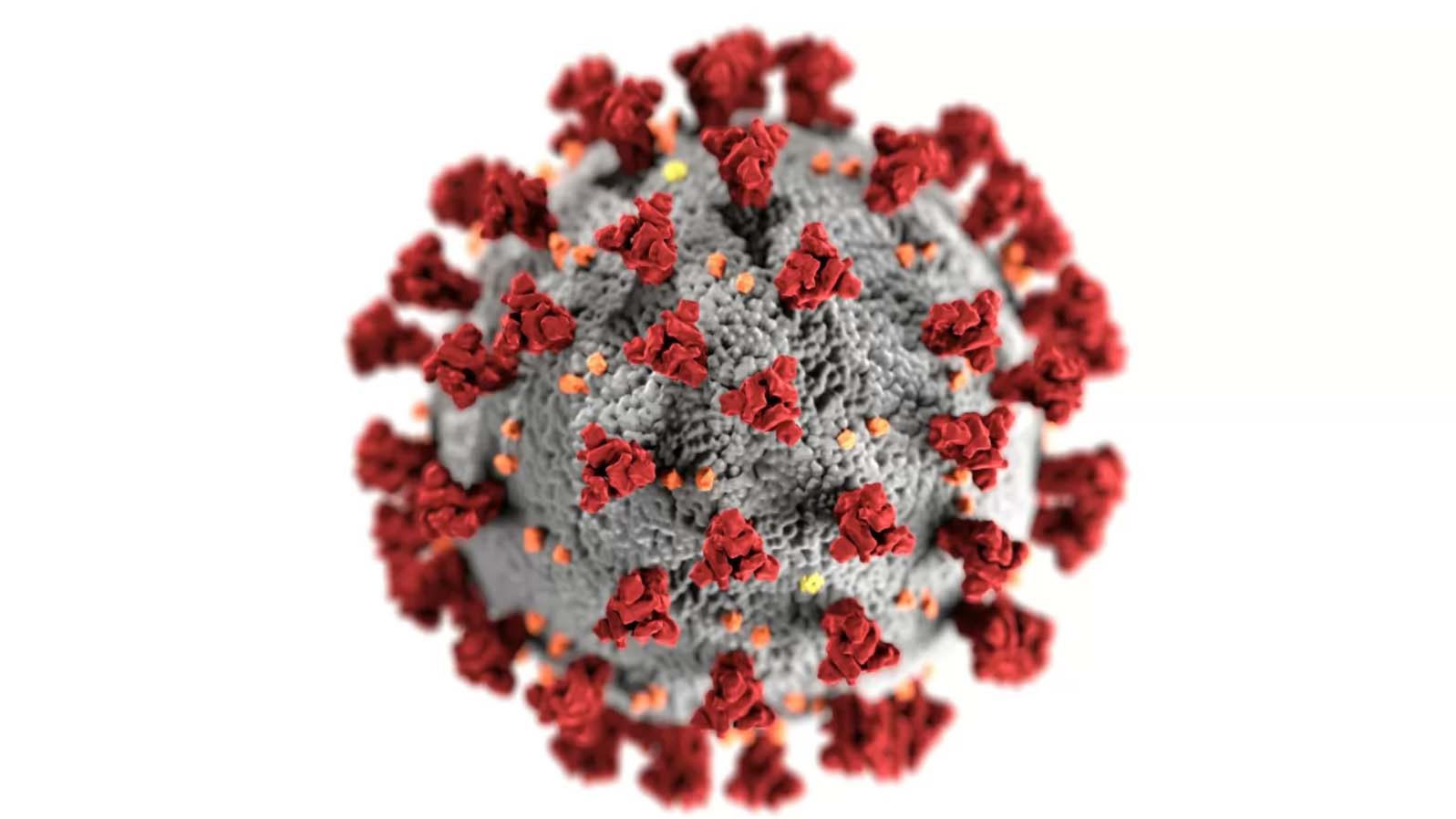 La scoperta del virus Paride e il suo ruolo unico nella lotta contro i batteri in stato di riposo
