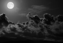 Consigli e trucchetti per ottimizzare la fotografia notturna e puntare alla Luna!