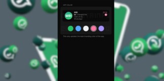 WhatsApp permetterà presto di personalizzare il colore del tema principale.