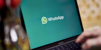 WhatsApp Desktop: la nuova era dell'autonomia