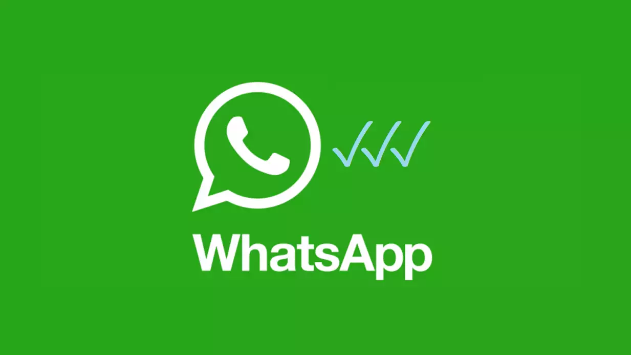 WhatsApp: in arrivo una nuova spunta blu per l’app di messaggistica