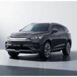 BYD - funzionalità Governo