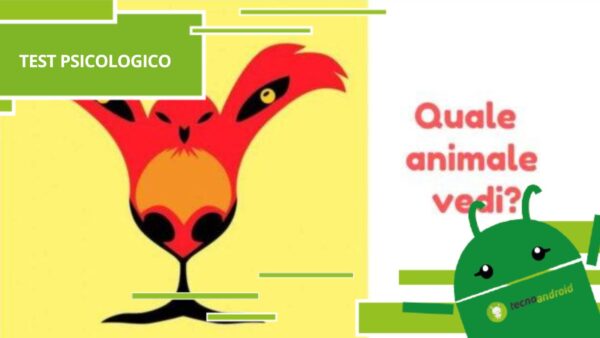 Test psicologico, le sfumature della tua personalità che non hai mai notato