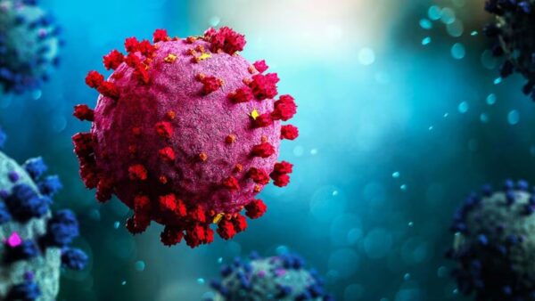Virus si sta diffondendo una nuova variante di vaiolo