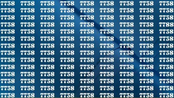 Credi di avere una buona vista? Risolvi il test e trova il "7788" in 10 secondi