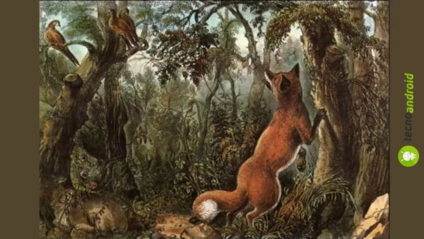 Risolvi l'enigma della foresta: trova i 9 volti nascosti in 20 secondi