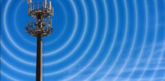 Gli MVNO noleggiano infrastrutture e frequenze per offrire servizi cellulari senza possederne la proprietà