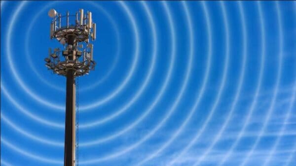 Gli MVNO noleggiano infrastrutture e frequenze per offrire servizi cellulari senza possederne la proprietà