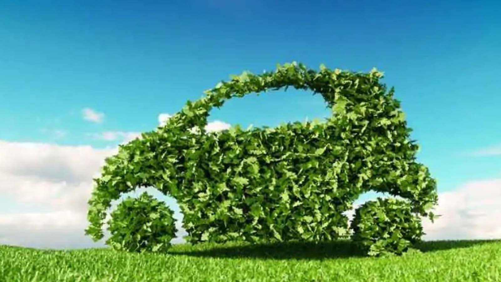 Dietro le quinte della distribuzione dei fondi e la sua preferenza per le auto ecologiche