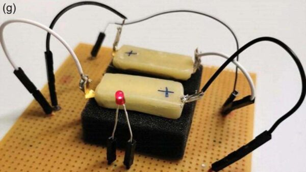 La batteria commestibile potrebbe rivoluzionare settori come la medicina e l'elettronica portatile