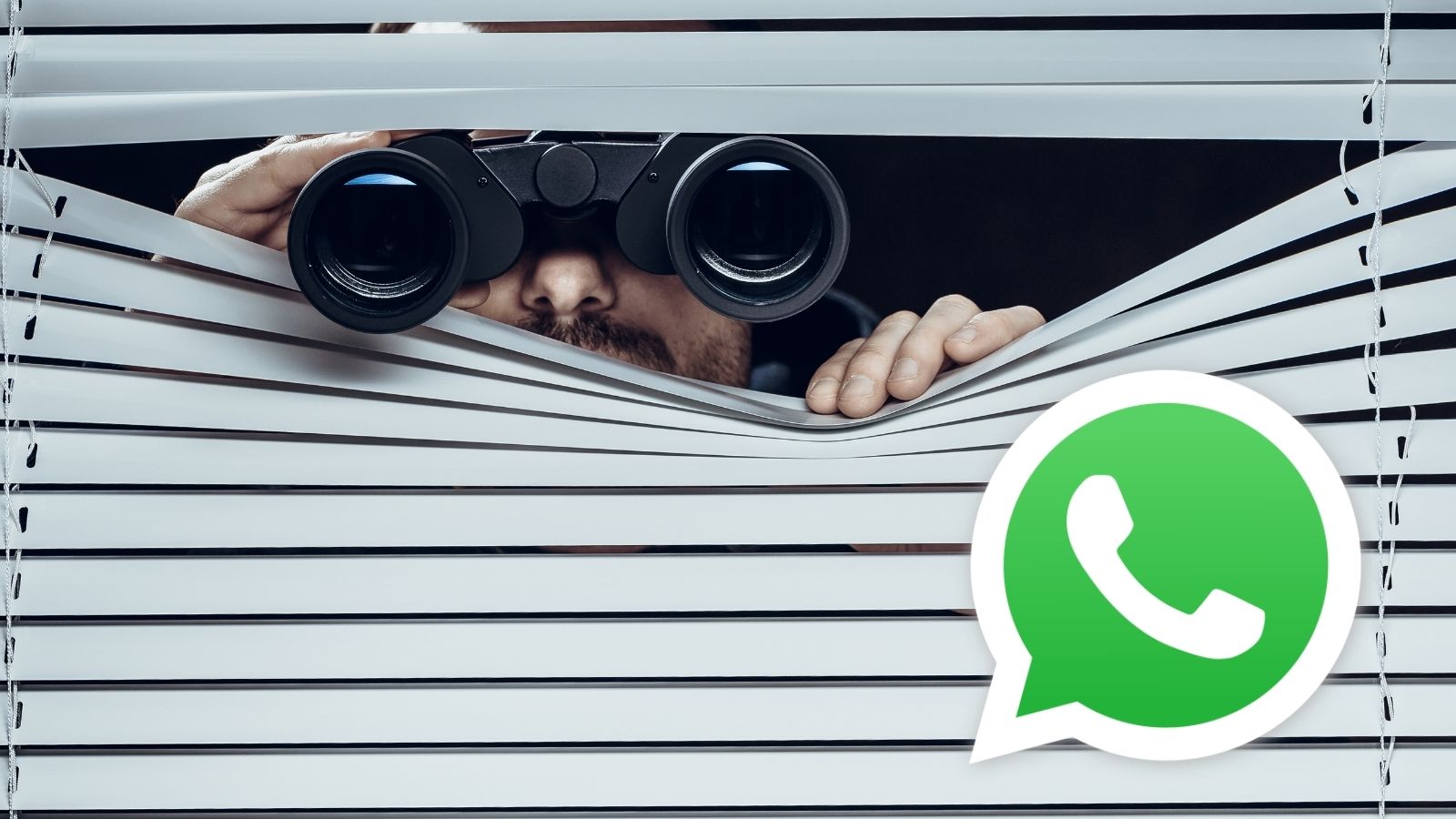 Come spiare e come non farsi spiare su WhatsApp: ecco i trucchi