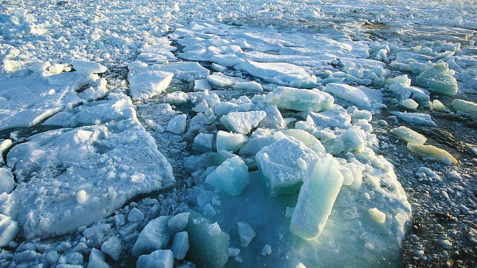 Thwaites e Pine Island: capire il graduale ritiro della calotta glaciale nei millenni