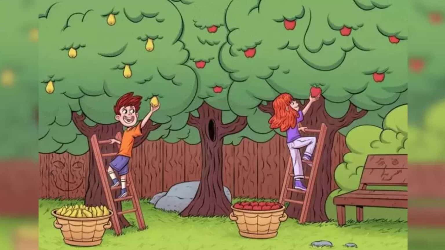 Riesci a trovare le 3 facce nascoste nell'immagine?