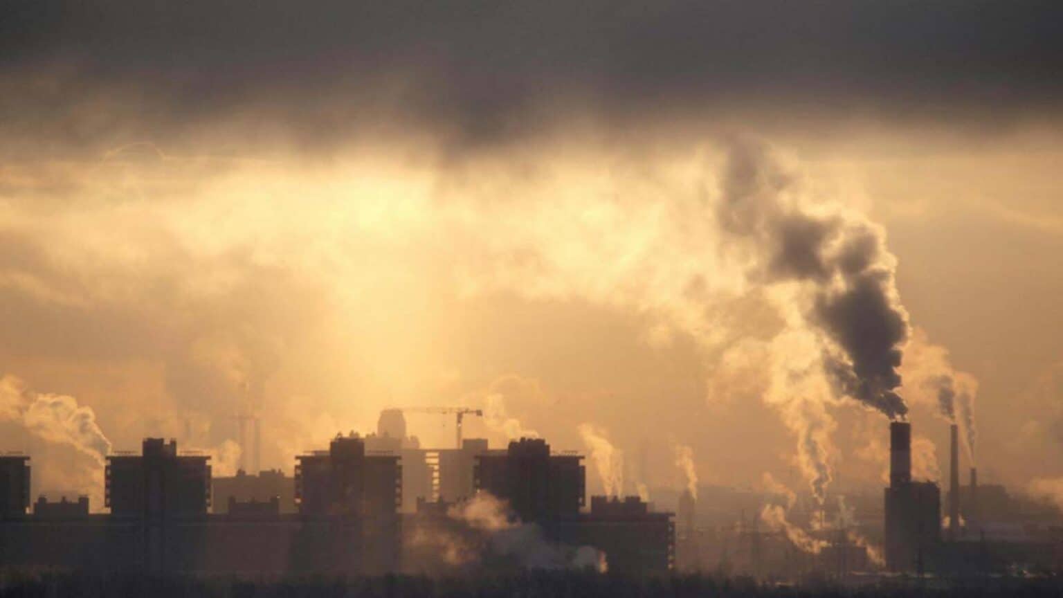 APOE e4, il fattore chiave nella relazione tra genetica e inquinamento atmosferico
