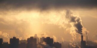 APOE e4, il fattore chiave nella relazione tra genetica e inquinamento atmosferico
