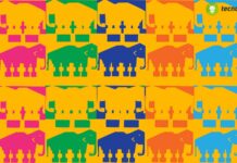 Quanti elefanti ci sono in questa illusione ottica?
