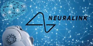 Allarme dalla comunità scientifica per gli esperimenti Neuralink