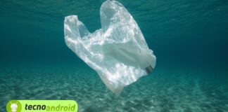 USA: lo Stato vieta i sacchetti di plastica. Cosa è successo?