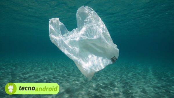 USA: lo Stato vieta i sacchetti di plastica. Cosa è successo?