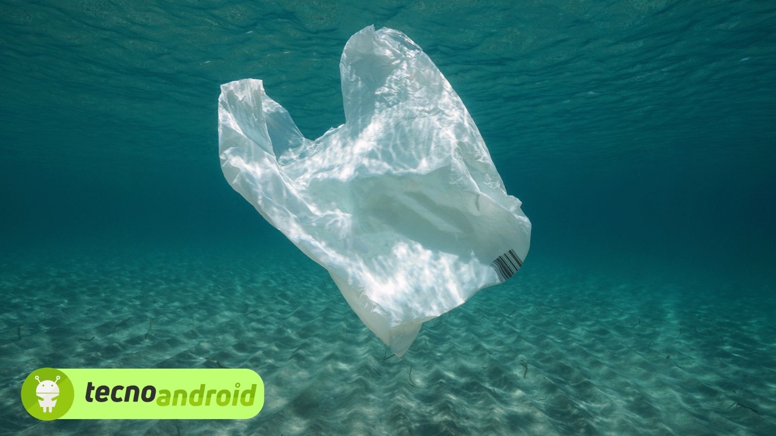 USA: lo Stato vieta i sacchetti di plastica. Cosa è successo? 
