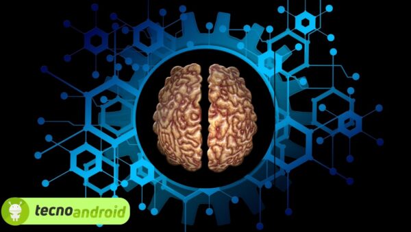 Arriva il primo modello funzionante in 3D del cervello umano