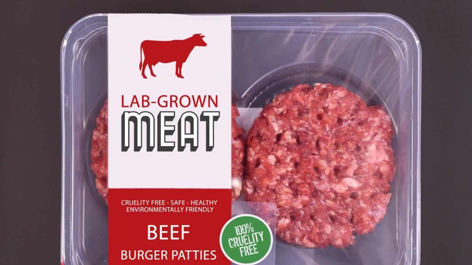 Come la carne coltivata ha rapidamente debuttato e sia scomparsa dai Menù
