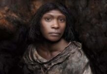 Le donne Neanderthal potrebbero aver giocato un ruolo chiave nella diversità genetica delle popolazioni