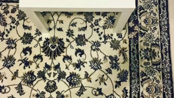 L'illusione ottica che sta spopolando online: dov'è il telefono?