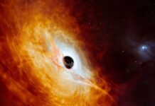 La storia di un Quasar luminoso che sfuggiva all'osservazione, rivelato solo oggi