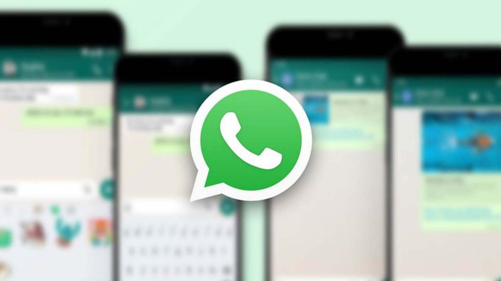 I motivi dietro il cambio di colore del badge di verifica WhatsApp e l'omogeneizzazione con le altre app Meta