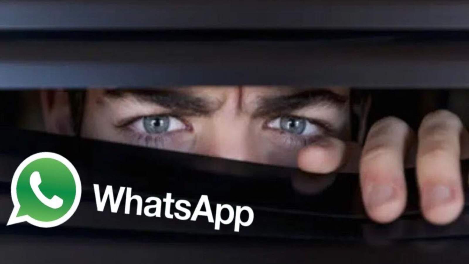 WhatsApp, aggiornamento: ora puoi FISSARE in alto in chat un messaggio