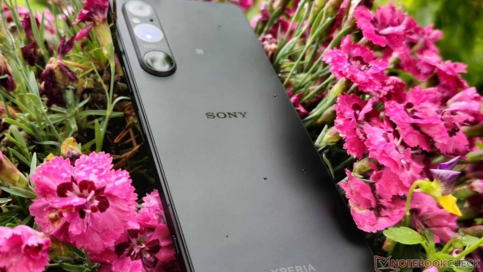 Sony