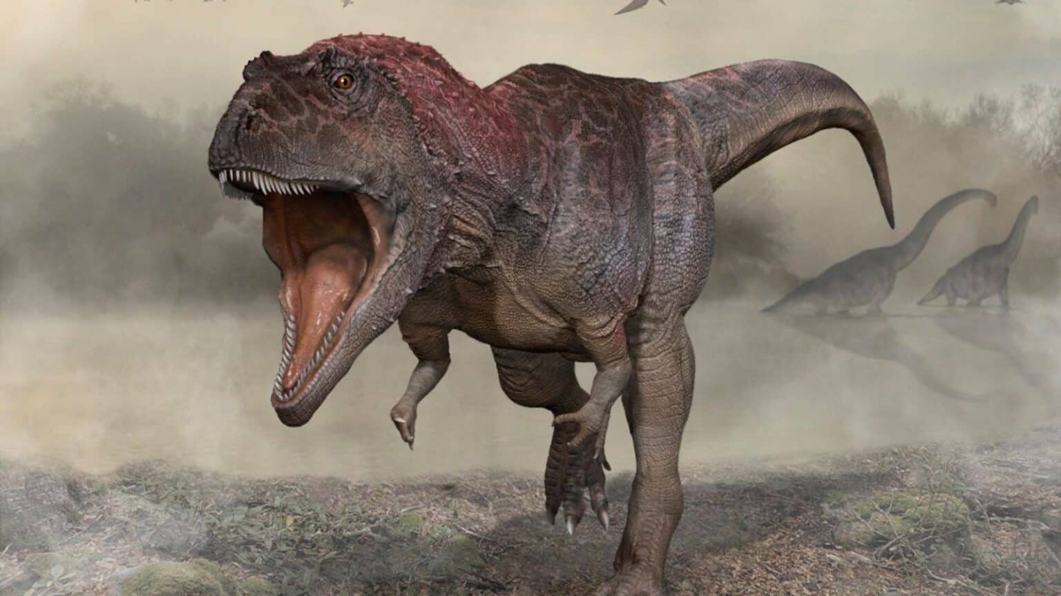 Le braccia corte dei T. Rex come testimoni di un passato lontano