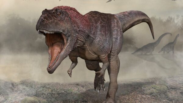Le braccia corte dei T. Rex come testimoni di un passato lontano