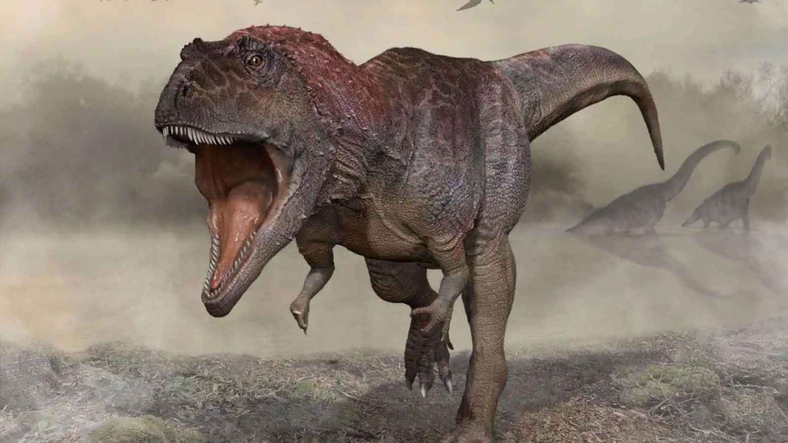 Le braccia corte dei T. Rex come testimoni di un passato lontano