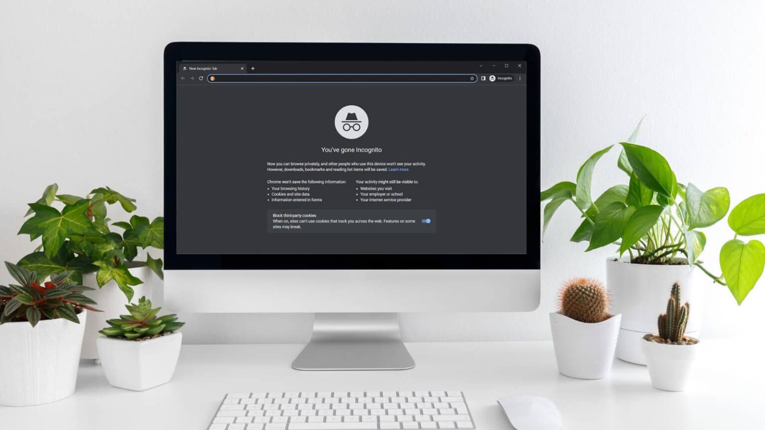 Perché è comodo utilizzare la navigazione in incognito?