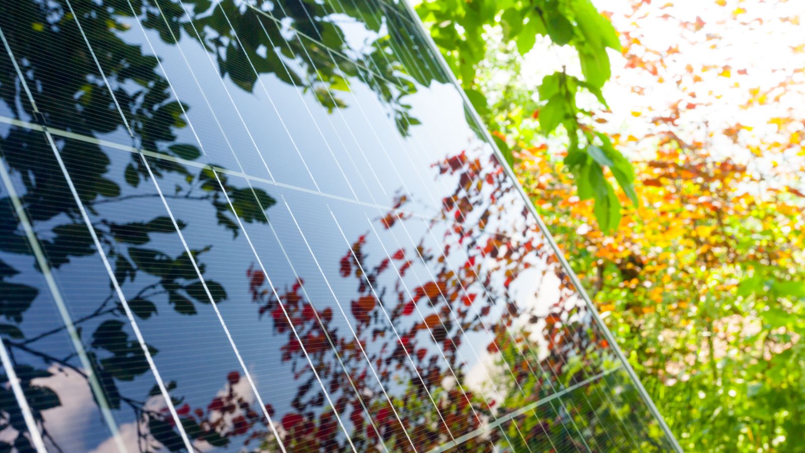 Le differenze chiave tra l'installazione di pannelli solari sul balcone e sul tetto