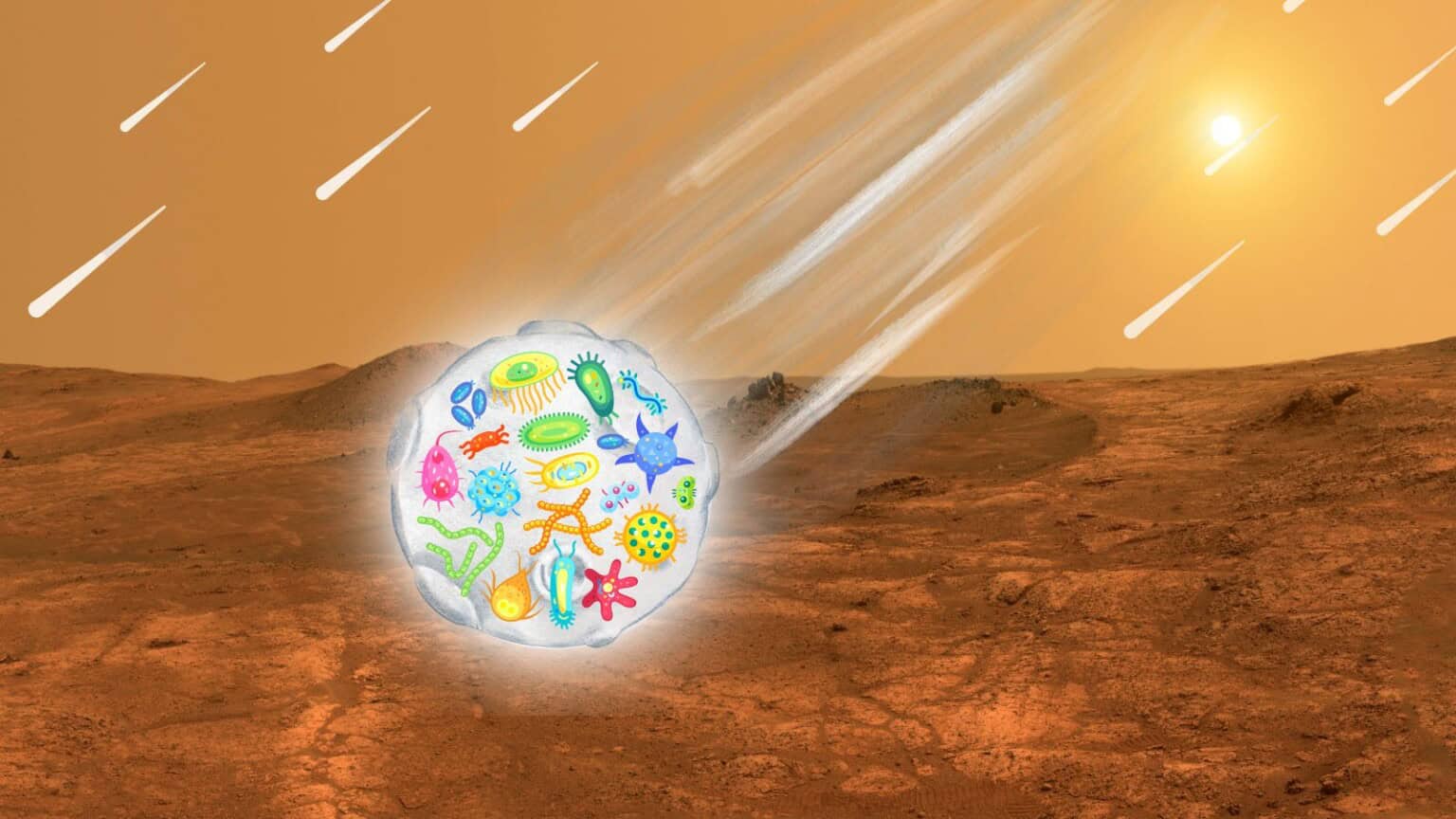 Il ruolo degli asteroidi e degli impatti cosmici nell'ipotetica diffusione della vita su Marte e sulla Terra