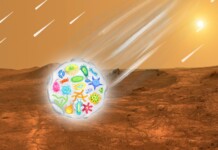Il ruolo degli asteroidi e degli impatti cosmici nell'ipotetica diffusione della vita su Marte e sulla Terra