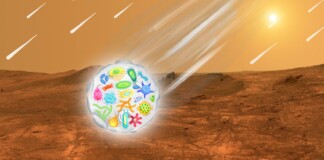 Il ruolo degli asteroidi e degli impatti cosmici nell'ipotetica diffusione della vita su Marte e sulla Terra