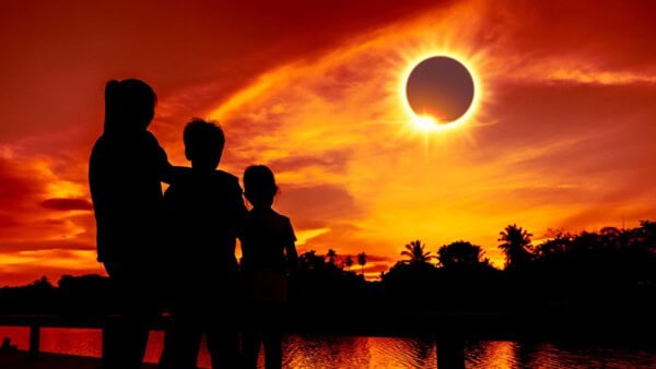 Dalle api alle tartarughe marine, una panoramica delle reazioni degli animali durante l'oscurità totale delle eclissi solari