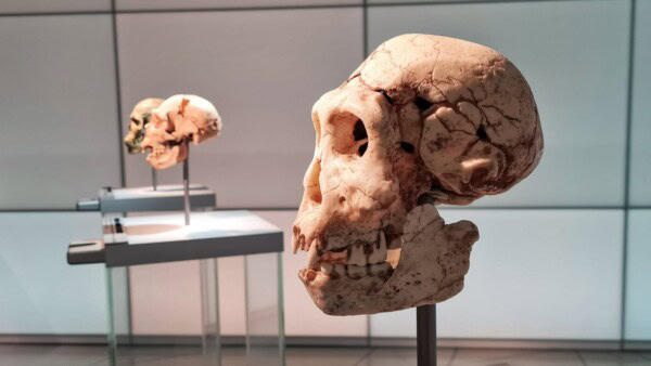 Le variabili socio-demografiche e ideologiche che modellano la comprensione della scienza