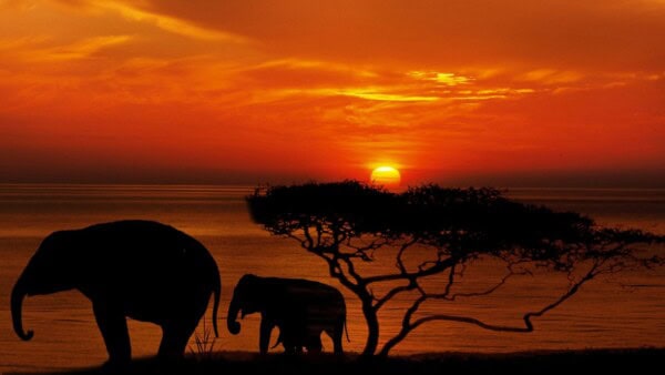 Le capitali dell'Africa sono state colpite dall'ondata di caldo, con temperature che hanno sfiorato i limiti della sopportabilità