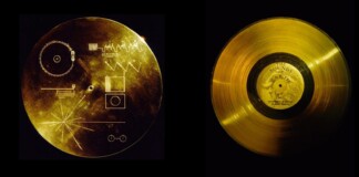 Il Golden Record, un disco cosmico contenente suoni e immagini che rappresentano la vita sulla Terra