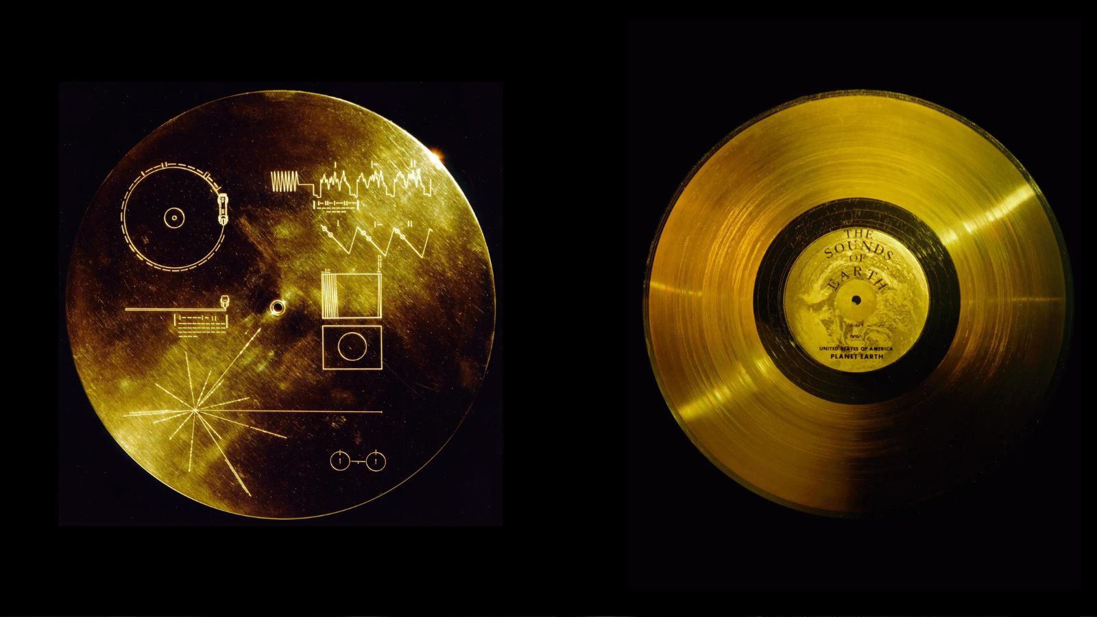 Il Golden Record, un disco cosmico contenente suoni e immagini che rappresentano la vita sulla Terra