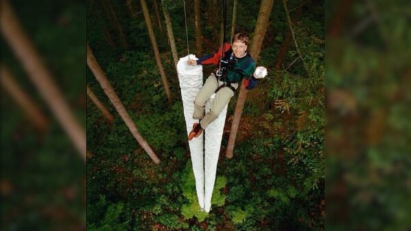 La famosa foto che Bill Gates ha postato sui suoi profili social, condividendo i suoi pensieri sulla tecnologia