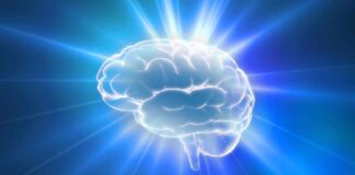 Nuovi studi dimostrano come il nostro cervello stia diventando sempre più grande