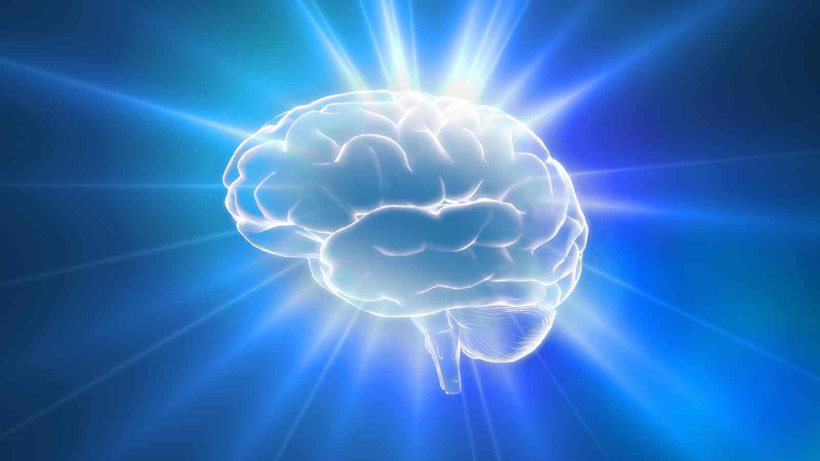 Nuovi studi dimostrano come il nostro cervello stia diventando sempre più grande