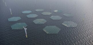 28 turbine eoliche galleggianti e piattaforme fotovoltaiche al largo della costa di Corigliano-Rossano per il futuro impianto di energia verde