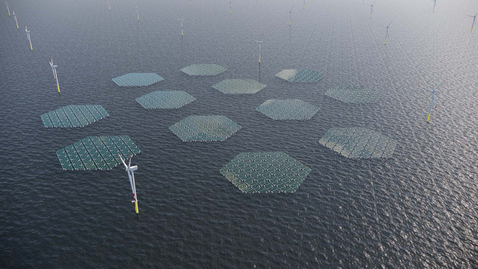28 turbine eoliche galleggianti e piattaforme fotovoltaiche al largo della costa calabra per il futuro impianto di energia verde